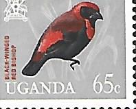 [Birds, tyyppi AF]