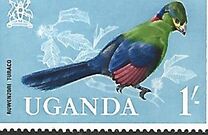 [Birds, tyyppi AG]