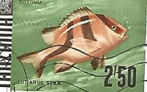 [Vita marina - Pesci - Carta: Gessosa - Tipografia: Harrison & Sons Ltd, Scrivi AC]