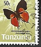 [Butterflies, type AM]
