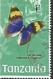 [Butterflies, type AP]