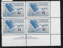 [Birds - Canada Goose, tip GD]