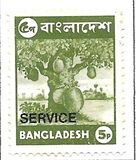 [Local Motives, tipas P1]