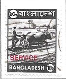 [Local Motives, tipas Q1]