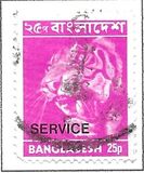 [Local Motives, tipas T1]