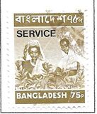 [Local Motives, tipas V1]