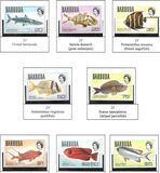 [Fish, type C]