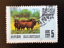 [Wildlife, type GB]