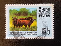 [Wildlife, type GB]