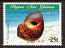 [Sea Shells, tip AEC]