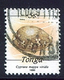 [Marine Life, Вид AOT]
