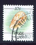 [Marine Life, Вид AOU]