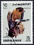 [Birds - Falcons, type HT]