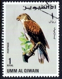 [Birds - Falcons, type HU]