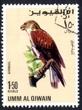 [Birds - Falcons, type HV]