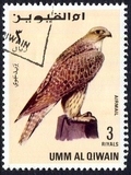 [Birds - Falcons, type HW]