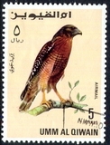 [Birds - Falcons, type HX]