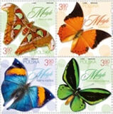 [Insects - Butterflies, type JVZ]
