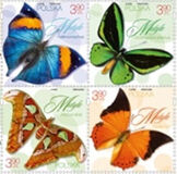 [Insects - Butterflies, type JVZ]