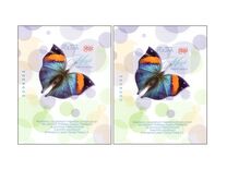 [Insects - Butterflies, type JVZ]