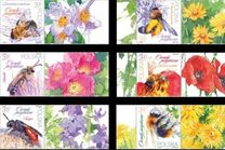 [Beneficial Insects, タイプ IJZ]