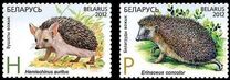 [Fauna - Hedgehogs, type WY]