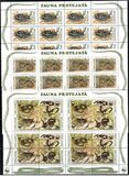 [Protected Animals - Snakes, Typ AM]
