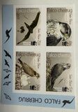[WWF - Saker Falcon, type TK]