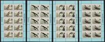 [WWF - Saker Falcon, type TK]