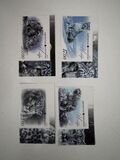 [Fauna - Snow Leopard, type YO1]