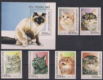 [Cats, տեսակ GN]
