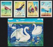 [Rare Birds of Uzbekistan, type ADN]