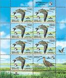 [Bird of the Year - Eurasian Curlew, type ADN]