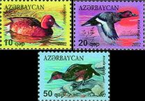 [Birds - Ferruginous Duck, type AGP]