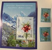 [Mountain Flower Aigul, type QK]