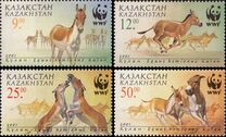 [Endangered Species - Asiatic Wild Ass, Scrivi KI]