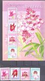 [Orchids, type TP]