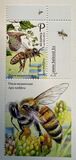 [Beekeeping in Belarus, Typ BBO]