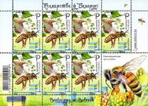 [Beekeeping in Belarus, Typ BBO]