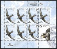 [Bird of the Year - Black Swift, type AFN]