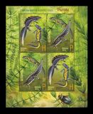 [Newts - Joint Issue with Russia, type AFV]