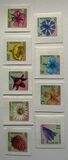 [Definitive Issue - Flowers. Self-adhesive Stamps, type OP]