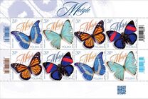 [Insects - Butterflies, type IHY]