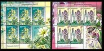 [Flowers - Endangered Plants of Belarus, typ ADJ]
