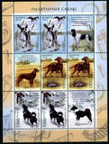 [Hunting Dogs, Tüüp ADA]
