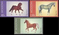 [Horses, type OJ]
