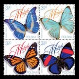 [Insects - Butterflies, type IHY]