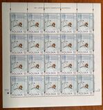 [The 200th Anniversary of the Polish Doctors, type FUX]