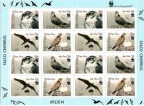 [WWF - Saker Falcon, type TK]