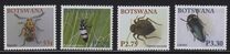 [Beetles, type ACR]